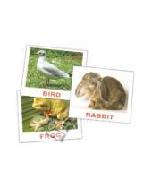 Картинка к книге В. Е. Епанова Е., Т. Носова - Комплект карточек мини на английском языке "Animals" 8х10 см