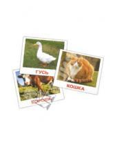 Картинка к книге В. Е. Епанова Е., Т. Носова - Комплект карточек мини "Домашние животные" 8х10 см