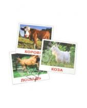 Картинка к книге В. Е. Епанова Е., Т. Носова - Комплект карточек "Домашние животные" 16,5х19,5 см.