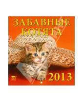 Картинка к книге Календарь настенный 160х170 - Календарь 2013 "Забавные котята" (30305)