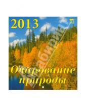Картинка к книге Календарь настенный 160х170 - Календарь 2013 "Очарование природы" (30311)