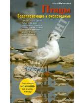 Картинка к книге Борисовна Ксения Митителло - Птицы. Водоплавающие и околоводные (+CD)