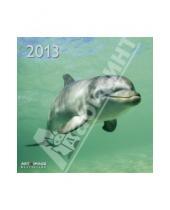 Картинка к книге Календарь 300х300 - Календарь 2013 "Дельфины" (76065)