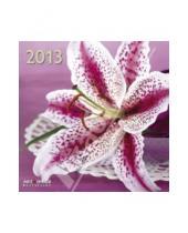 Картинка к книге Календарь 300х300 - Календарь 2013 "Цветы" (76067)
