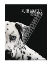 Картинка к книге Календарь 480x640 - Календарь на 2013 год. Собаки. Рут Маркус (75571)