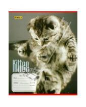 Картинка к книге Proff - Тетрадь 12 листов "Kitten" клетка (6125125084)