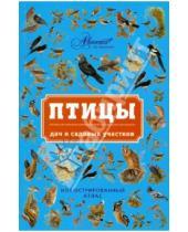 Картинка к книге Григорьевич Владимир Бабенко - Птицы дач и садовых участков