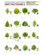 Картинка к книге Разрезные карточки - Мир растений-2. Комплект разрезных карточек