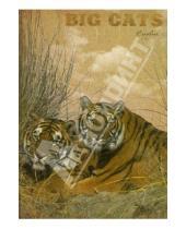 Картинка к книге Тетрадь - Тетрадь 96 листов "Тигры" клетка, А4 (28806)