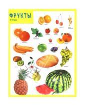 Картинка к книге Плакаты и таблицы - Плакат "Фрукты и ягоды"