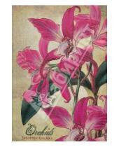 Картинка к книге Записная книжка - Записная книжка "Орхидеи" 240 стр. (27356)