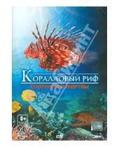 Картинка к книге Рене Шопфер - Коралловый риф: охотники и жертвы (DVD)