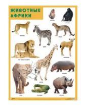 Картинка к книге Плакаты и таблицы - Плакат "Животные Африки"