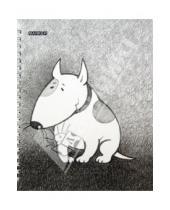 Картинка к книге Marker - Тетрадь 100 листов "Dogs" клетка, в ассортименте (M-450510N)