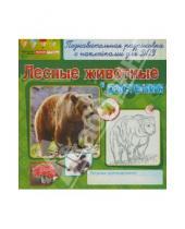 Картинка к книге Раскраски с наклейками - Лесные животные и растения