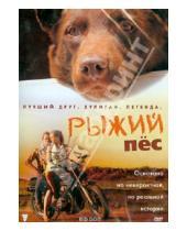 Картинка к книге Крив Стендерс - Рыжий пес (DVD)