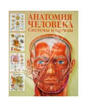 Картинка к книге Лучшие в мире анатомические таблицы - Анатомия человека. Системы и органы