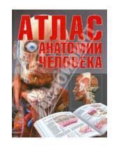 Картинка к книге Харвест - Атлас анатомии человека