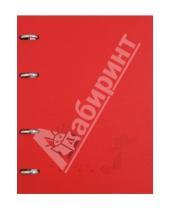 Картинка к книге Доминанта - Тетрадь 120 листов, клетка "Froggy" с кольцевым механизмом (№302/red)