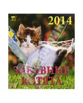 Картинка к книге Календарь настенный 160х170 - Календарь 2014 "Забавные котята" (30405)