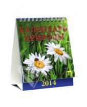 Картинка к книге Календарь настольный 120х140 (домики) - Календарь на 2014 год "Календарь природы" (10403)
