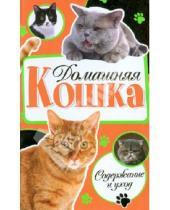 Картинка к книге Дарья Дазидова - Домашняя кошка. Содержание и уход