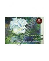 Картинка к книге Лилия Холдинг - Планшет для акварели "Белая роза". А3. 20 листов (арт. ПЛБР/А3)
