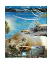 Картинка к книге Бенджамин Айхер Тимо, Мэйер - Галапагосские острова 3D (Blu-Ray)