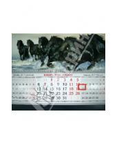 Картинка к книге Календари - Квартальный календарь на 2014 год "Кони" (31996)