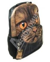 Картинка к книге №1 School - Рюкзак "3D Кот". С укрепленной спинкой и лямками