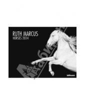 Картинка к книге Календарь 640x480 - Календарь на 2014 год "Лошади. Рут Маркус" (7-6281)