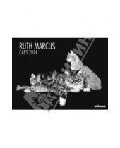Картинка к книге Календарь 640x480 - Календарь на 2014 год "Кошки. Рут Маркус" (7-6282)