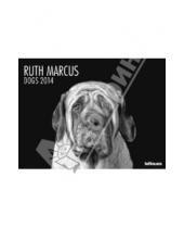 Картинка к книге Календарь 640x480 - Календарь на 2014 год "Собаки. Рут Маркус" (7-6283)