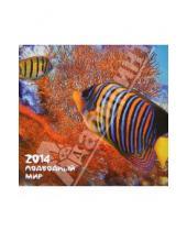 Картинка к книге Календари настенные (12 листов) - Календарь 2014 "Подводный мир"