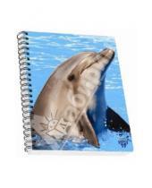 Картинка к книге SKAG - Тетрадь в клетку "3D Дельфин". 96 листов (314142)