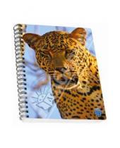 Картинка к книге SKAG - Тетрадь в клетку "3D Леопард". 96 листов (314146)