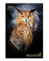 Картинка к книге Календари - Календарь 2014 "Дикая природа. Птицы" (КПВ1405)