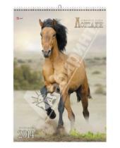 Картинка к книге Календари - Календарь 2014 "Символ года. Лошади" (КПВМ1401)