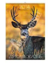 Картинка к книге Календари - Календарь 2014 "Животные. Дикая жизнь" (КПВС1405)