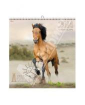 Картинка к книге Календари - Календарь 2014 "Символ года. Изящные лошади" (КПКБ1401)