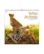 Картинка к книге Календари - Календарь 2014 "Дикие животные (Wild animals)" (КПКС1403)