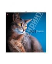 Картинка к книге Календари - Календарь 2014 "Кошки" (КПКС1402)