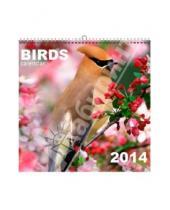 Картинка к книге Календари - Календарь 2014 "Птицы" (КПКС1405)