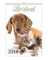 Картинка к книге Календари - Календарь 2014 "Лучшие друзья. Кошки и собаки" (КПВМ1406)