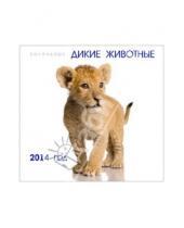 Картинка к книге Календари - Календарь 2014 "Дикие животные. Малыши" (КС121405)