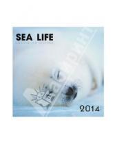 Картинка к книге Календари - Календарь 2014 "Морские обитатели (Sea life)" (КС61405)