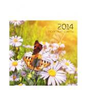 Картинка к книге Календари - Календарь 2014 "Полевые цветы" (КС61415)
