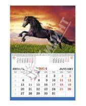 Картинка к книге Календари - Календарь 2014 "Символ года. Лошадь" (ККОС1402)