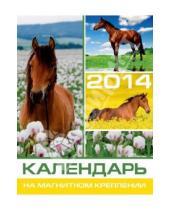 Картинка к книге Календари - Календарь на 2014 год с магнитным креплением "Символ года. Лошадь 1" (32019)