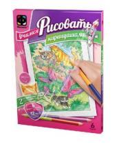 Картинка к книге Учимся рисовать карандашами (бол) - Учимся рисовать карандашами. Набор №6 (347015)